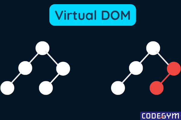 học reactjs cơ bản